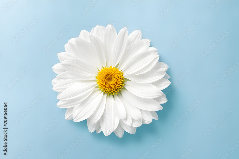 flower-wallpaper-minimalism-masterpiece-style-watercolor-trending-on-artstation-sharp-focus-st flower-wallpaper-minimalism-masterpiece-style-watercolor-trending-on-artstation-sharp-focus-st