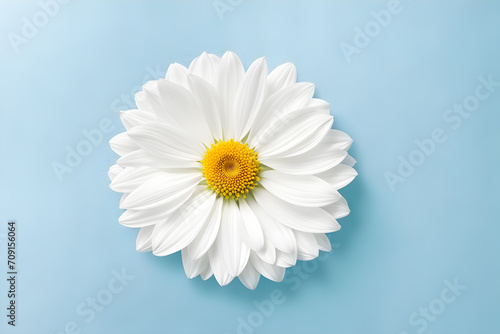 flower-wallpaper-minimalism-masterpiece-style-watercolor-trending-on-artstation-sharp-focus-st