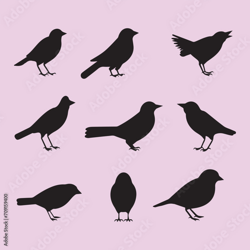 Finch bird set black silhouette vector