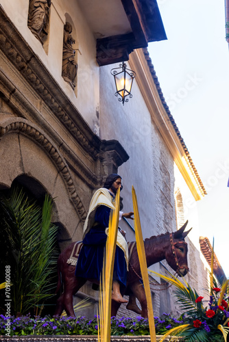 Venerable, Real e Ilustre Hermandad de Nuestra Madre María Inmaculada en su Mayor Angustia y Piedad y Cristo Rey en su entrada triunfal en Jerusalén de Toledo	
 photo