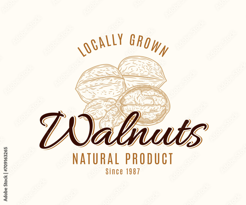 Vector walnut vintage logo, nut label design, whole walnut and kernels