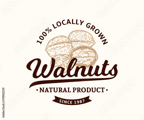 Vector walnut logo design. Whole walnut and kernels