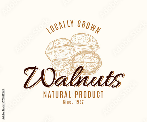 Vector walnut vintage logo  nut label design  whole walnut and kernels