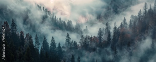 Misty Enchantment: Textured Forest Tableaus and Mountain Vistas in Ethereal Fog photo