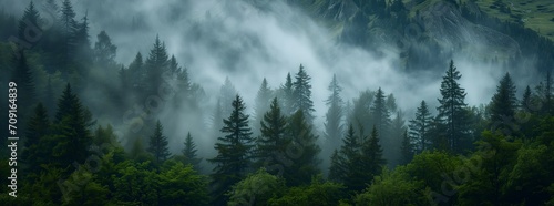 Misty Forest Enchantment: Textured Organic Landscape and Atmospheric Mountain Vistas © Vasilya