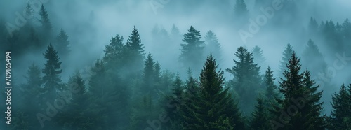 Misty Enchantment: Swiss Forest Realism Amidst Towering Pines