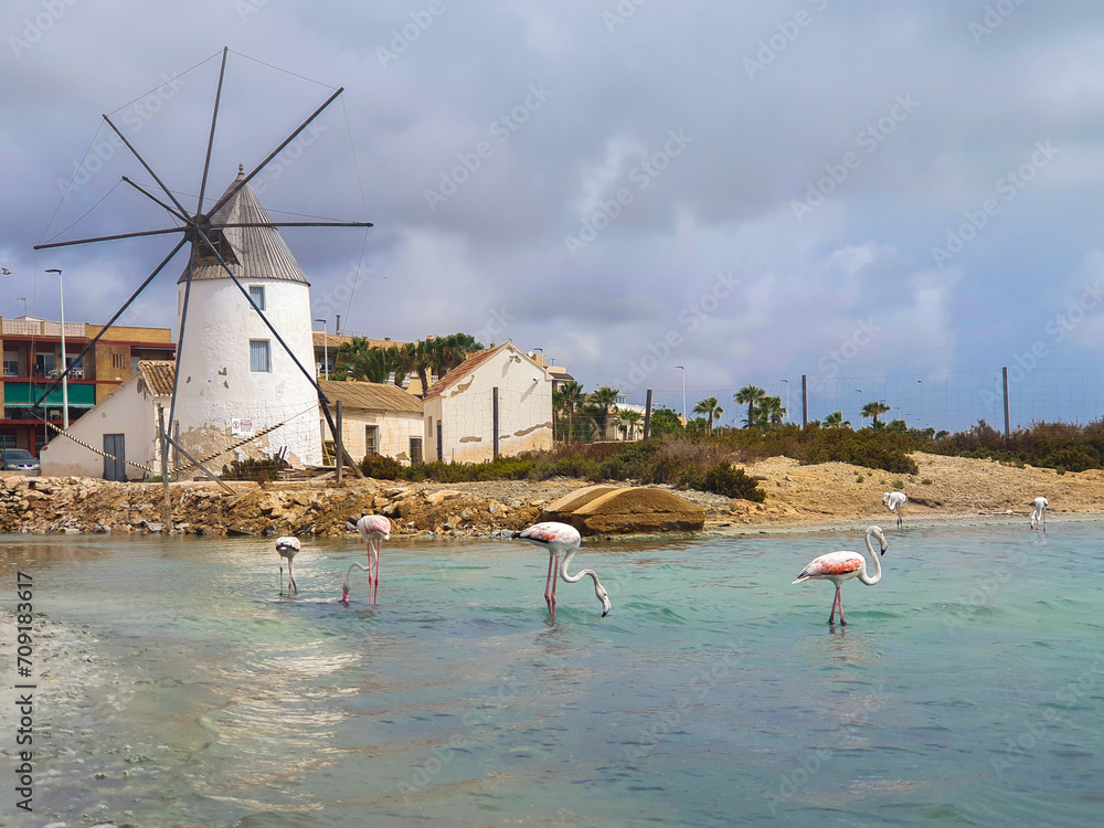 Murcia - San Pedro del Pinatar: sus salinas, playa y espacio natural.
