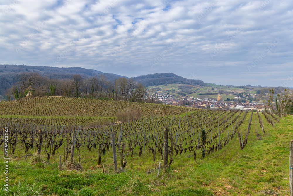 Fototapeta premium Vineyards with Arbois town, Department Jura, Franche-Comte, France