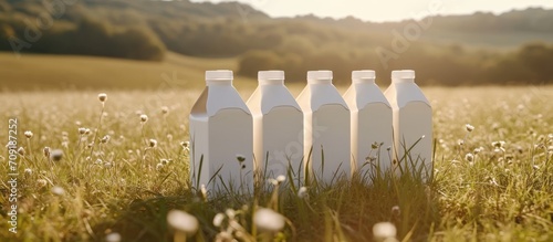 Limited resources for designing organic milk cartons. photo
