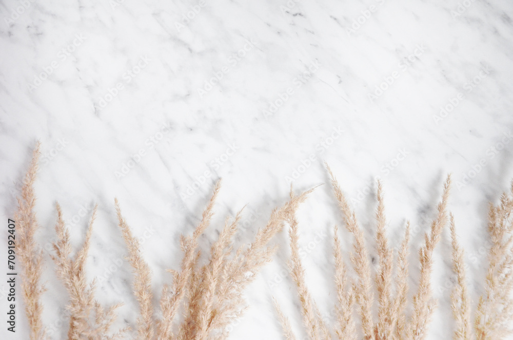 pampas grass on a marble table pampas grass on a marble table