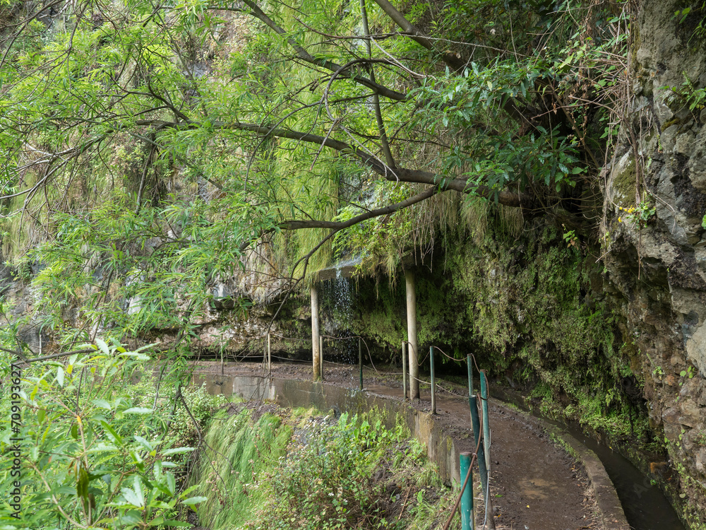 View of levada, water irrigation channel and tropical plants from hiking trail Levada do moinho to levada nova waterfall. Madeira, Portugal View of levada, water irrigation channel and tropical plants from hiking trail Levada do moinho to levada nova waterfall. Madeira, Portugal