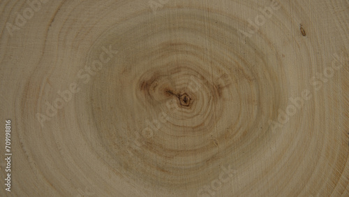 Tree rings show the age of the tree