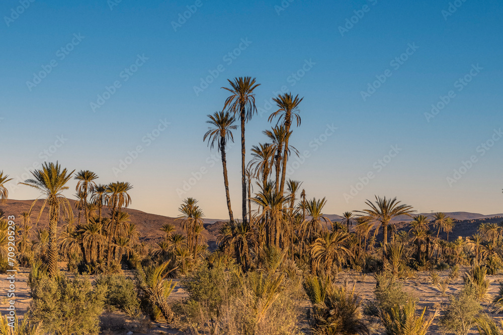 Road of a thousand Kasbahs is a spectacular drive winding through stunning desert landscapes.