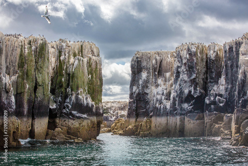 rocks Farne islands