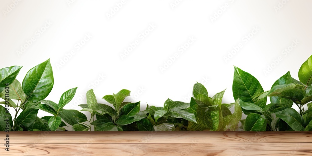 Wooden table top adorned with green leaf frame against a white backdrop. Wooden table top adorned with green leaf frame against a white backdrop.
