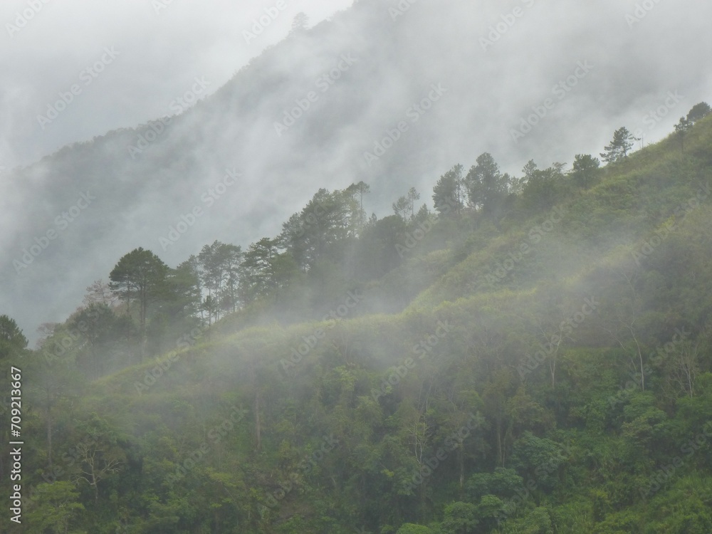 Foggy mountain forest between Banaue and Batad