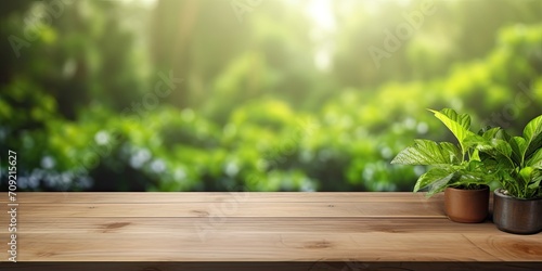 Wooden table top, blurred interior room with green garden view background - suitable for product display or montage.