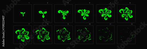 Firework explored animation . Sprite sheet of Poison effect animation for games, cartoon or animation – Vector