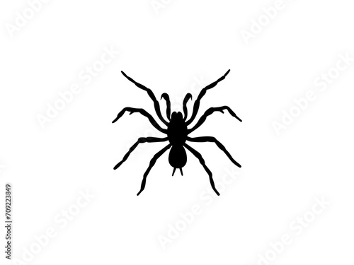 Spider icon vector. Spider vector design and illustration. Spider silhouette isolated white background © Lutfe Saba Prionti