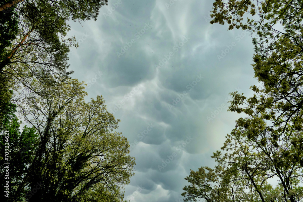 A rare and ominous looking example of a Mammatus cloud formation, formed by pouches or bulges hanging from the base of a cloud
A rare and ominous looking example of a Mammatus cloud formation, formed by pouches or bulges hanging from the base of a cloud