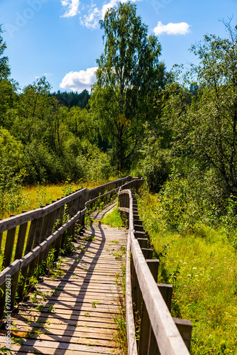 Fototapeta Naklejka Na Ścianę i Meble -  wooden railings and path made of wooden planks goes into the distance into the forest, summer sunny day , nature of the Urals, Russia