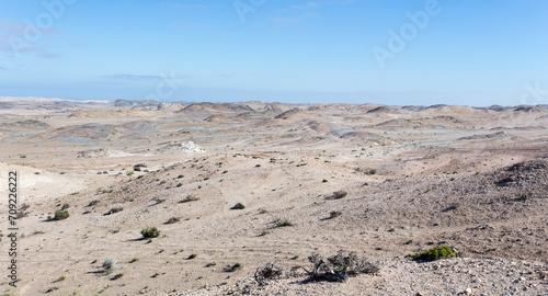 Photo of wonderful desert landscape