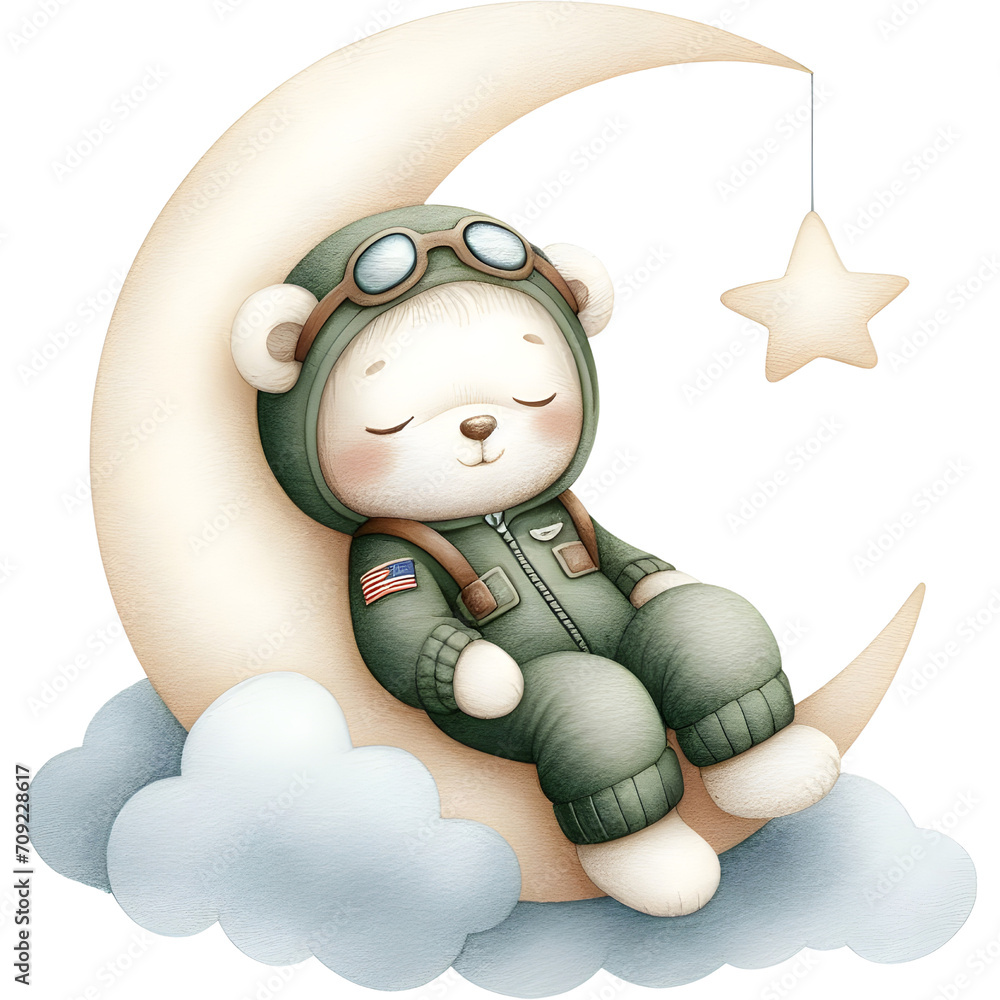 Fototapeta premium pilot bear