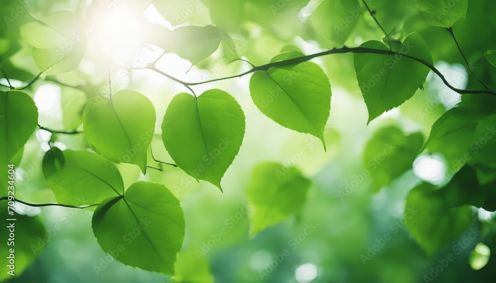 Green leaves eco-friendly background with place for text. Concept of ecology and healthy environment