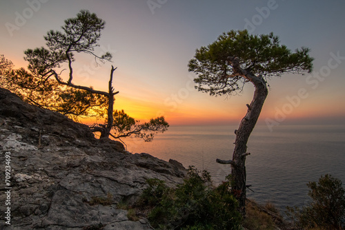 Landscape of a rocky mountain slope with pine trees backlit by a warm sunset over the Mediterranean Sea