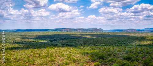 aerial view of typical african landscape, bushveld with acacia trees and mountains range