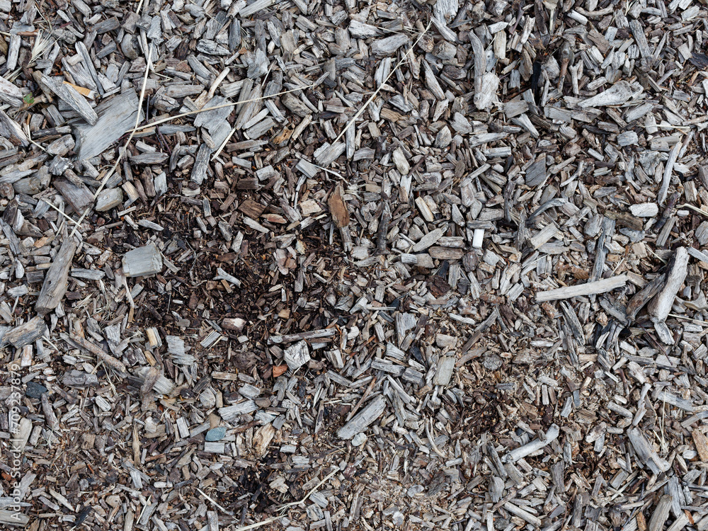 Ground covered by varied pieces of bark mulch Ground covered by varied pieces of bark mulch