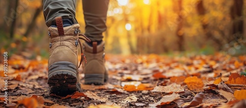 Trekking shoes in closeup. Person walking through fall forest.