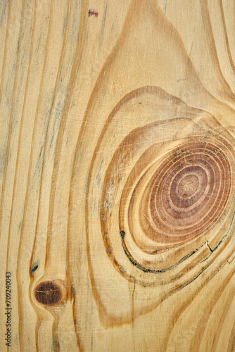 The texture of an old tree with traces of processing taken in close-up