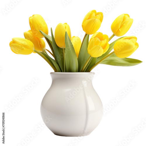 Beautiful yellow tulip flowers isolated on white or transparent background, png clipart, design element. Easy to place on any other background.