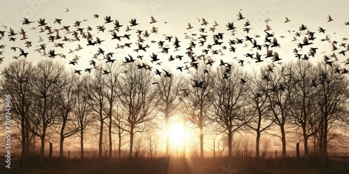 Twilight Flight: Birds Soaring at Sunset © romanets_v