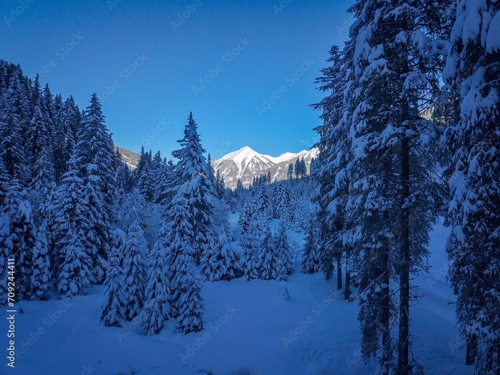 Fototapeta premium Winterlandschaft mit verschneiten Bäumen und Bergen