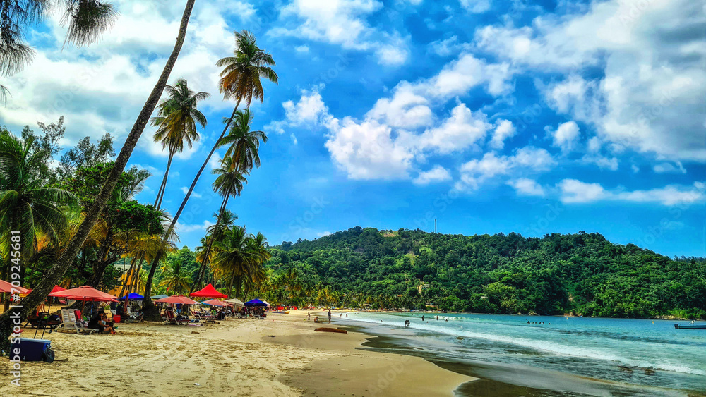 Ocean and Palm Trees at Maracas Beach in Trinidad and Tobago, Caribbean
