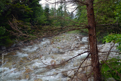 Fototapeta Naklejka Na Ścianę i Meble -  Rocky stream of Kezmarska Biela voda in the Tatra mountain