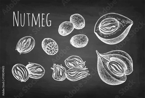 Nutmeg spice set chalk sketch.