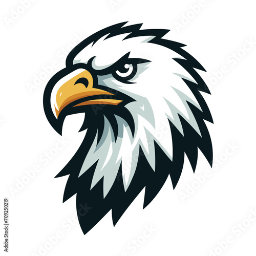 bird eagle hawk head logo mascot design vector illustration isolated on white background