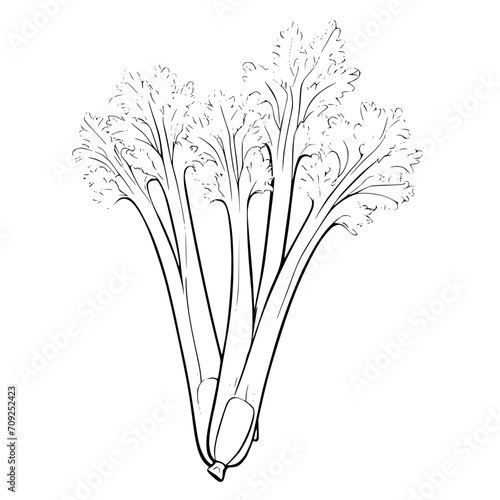 Lettuce SVG Black and White Illustration Art Generative AI.