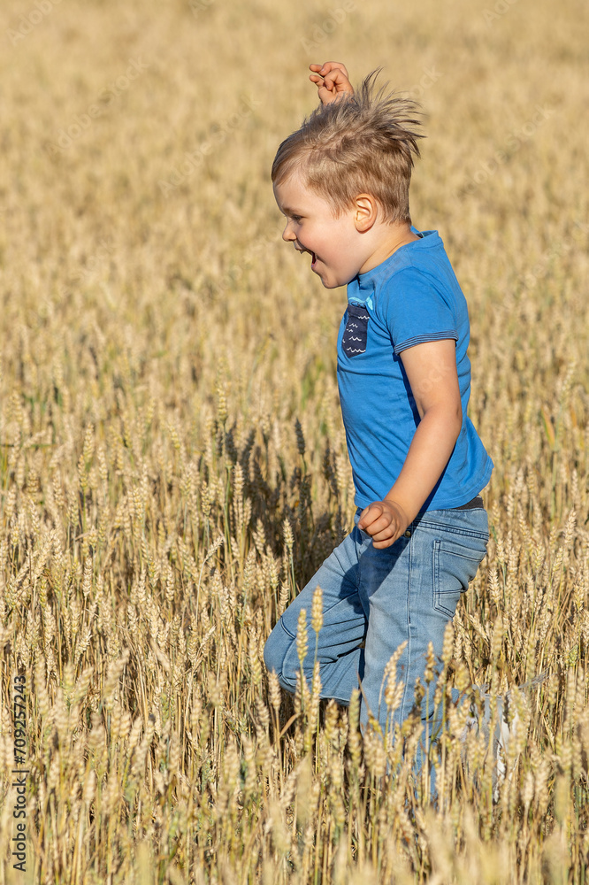 Little bristling, hair boy in blue shirt running in yellow wheat field in summer time. Vertical photo Little bristling, hair boy in blue shirt running in yellow wheat field in summer time. Vertical photo