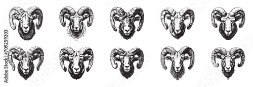 A set of bighorn silhouettes. Set of ram face with horns icon logo