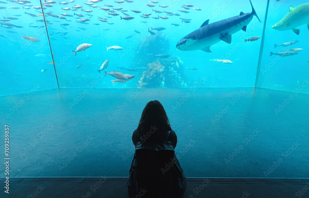 Obraz na płótnie tour of the oceanarium. Sea shark in a large aquarium w salonie