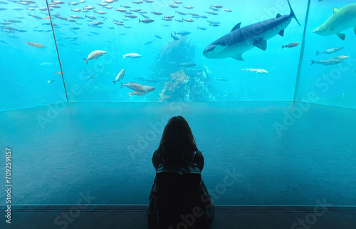 tour of the oceanarium. Sea shark in a large aquarium