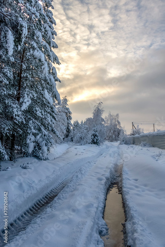 Fototapeta Naklejka Na Ścianę i Meble -  winter road with snow
