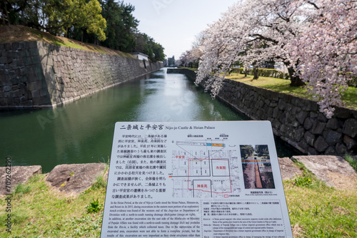 Kyoto, Japan - March 27 2023 : Cherry blossom along the moat of the Nijo Castle. photo