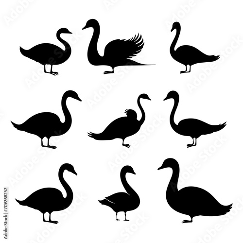 Swan bird silhouette. Flying bird vector of swan