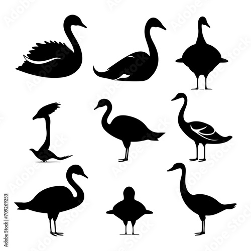 Swan bird silhouette. Flying bird vector of swan