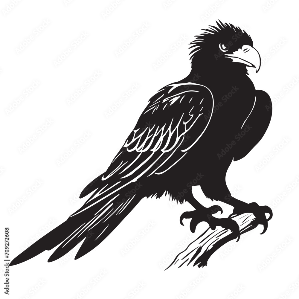 Eagles silhouettes and icons. Black flat color simple elegant white background Eagles animal birds vector and illustration. Eagles silhouettes and icons. Black flat color simple elegant white background Eagles animal birds vector and illustration.